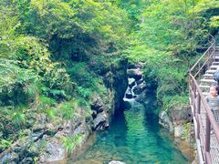 -大奇山国家森林公园