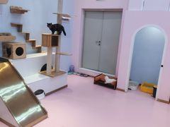 -爪爪喵星球·猫舍(前海卓越店)