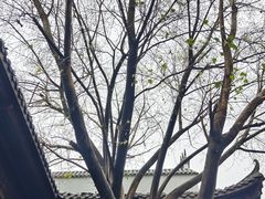 -坂田手造文化街