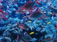 -成都浩海立方海洋公园