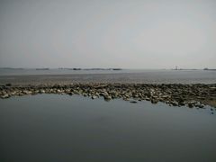 -吴淞炮台湾湿地森林公园烧烤区