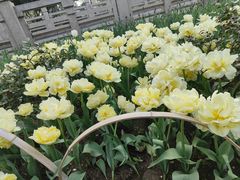 -玄武湖景区-情侣园游乐场