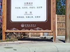 -白桦林温泉谷