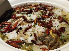金牌老坛酸菜鱼-首秀·四川料理(星耀101店)