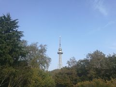 -青岛中山公园-索道售票处