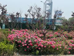 -北京奥林匹克公园