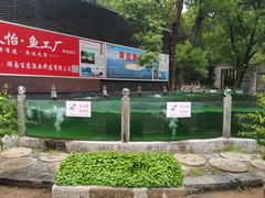 -天怡·鱼工厂(梅溪湖店)