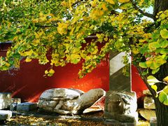 -北京石刻艺术博物馆(五塔寺)