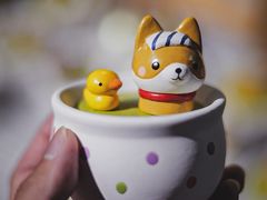 -小樽八音盒堂