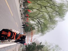 -辛玛王国游乐园