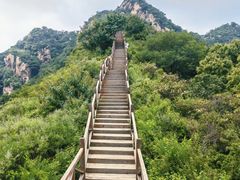 -大岭沟猕猴桃谷风景区