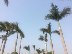 -厦门帝元维多利亚大酒店(环岛路黄厝海滩店)