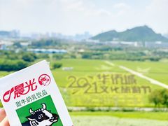 -光明小镇欢乐田园