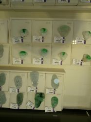 -林大生珠宝(中街钻石宫殿店)