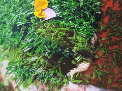 -写庭·鱼鲜川菜·宴请(铁像寺水街店)