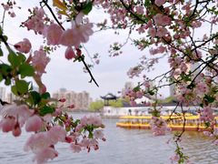 -莫愁湖公园