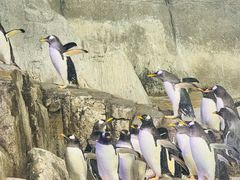 -成都浩海立方海洋公园