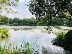 -旅马餐厅(茅家埠店)