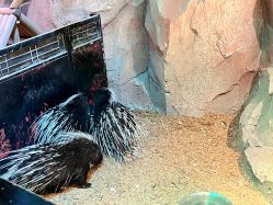 -酷嗒动物文化乐园(cutezoo西溪乐天城店)