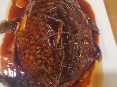 罾蹦鲤鱼-陈傻子餐厅(世纪都会店)