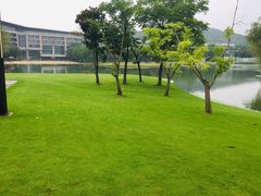 -上海佘山世茂艾美酒店