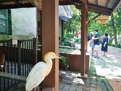 -吉隆坡雀鸟公园