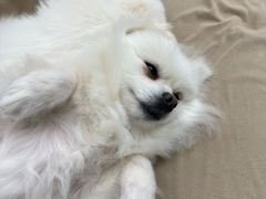 -怪兽屋·羊驼·猫咖·狗咖(俊华广场店)