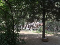 -曲阜师范大学(曲阜校区)
