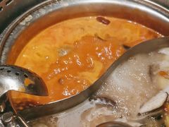 -快乐小羊·内蒙牛羊肉火锅(流花中心店)