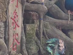 -野象谷景区