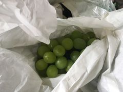 -马陆小张葡萄园农家乐