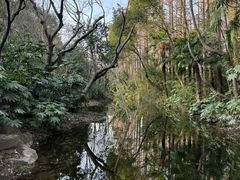 -上海滨江森林公园