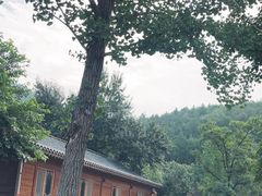 -八奇洞景区