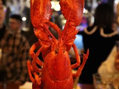 -haxnbauer海森堡德国餐厅(深圳coco店)