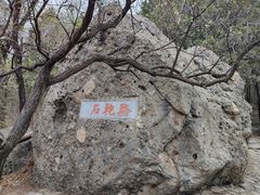 -阳台山自然风景区