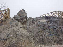 -北京西山国家森林公园