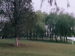 -滨江生态公园