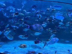 -海合安成都极地海洋公园