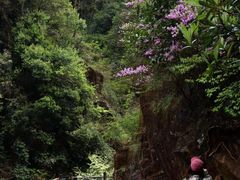-天台山琼台仙谷景区