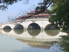 -大湾区中央湿地公园