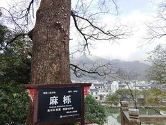 -绩溪龙川景区