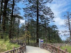 -瓦屋山景区