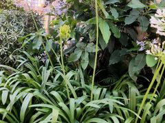 -重庆丽苑维景国际大酒店·海鲜自助餐厅