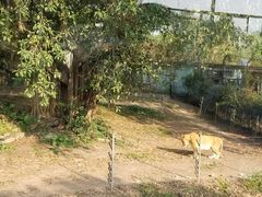 -深圳野生动物园