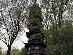 -上海佘山国家森林公园西佘山园