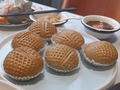 -天鹰观渔(梦园店)