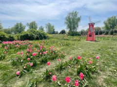 -泗洪洪泽湖湿地景区