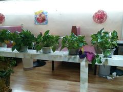 -晋乡亲刀削面(东风桥东店)