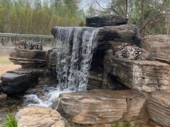 -秦皇岛野生动物园