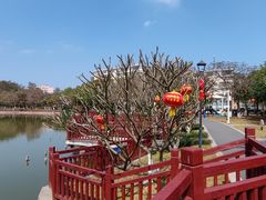 -长洲岛